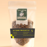 Sampler pack of 4