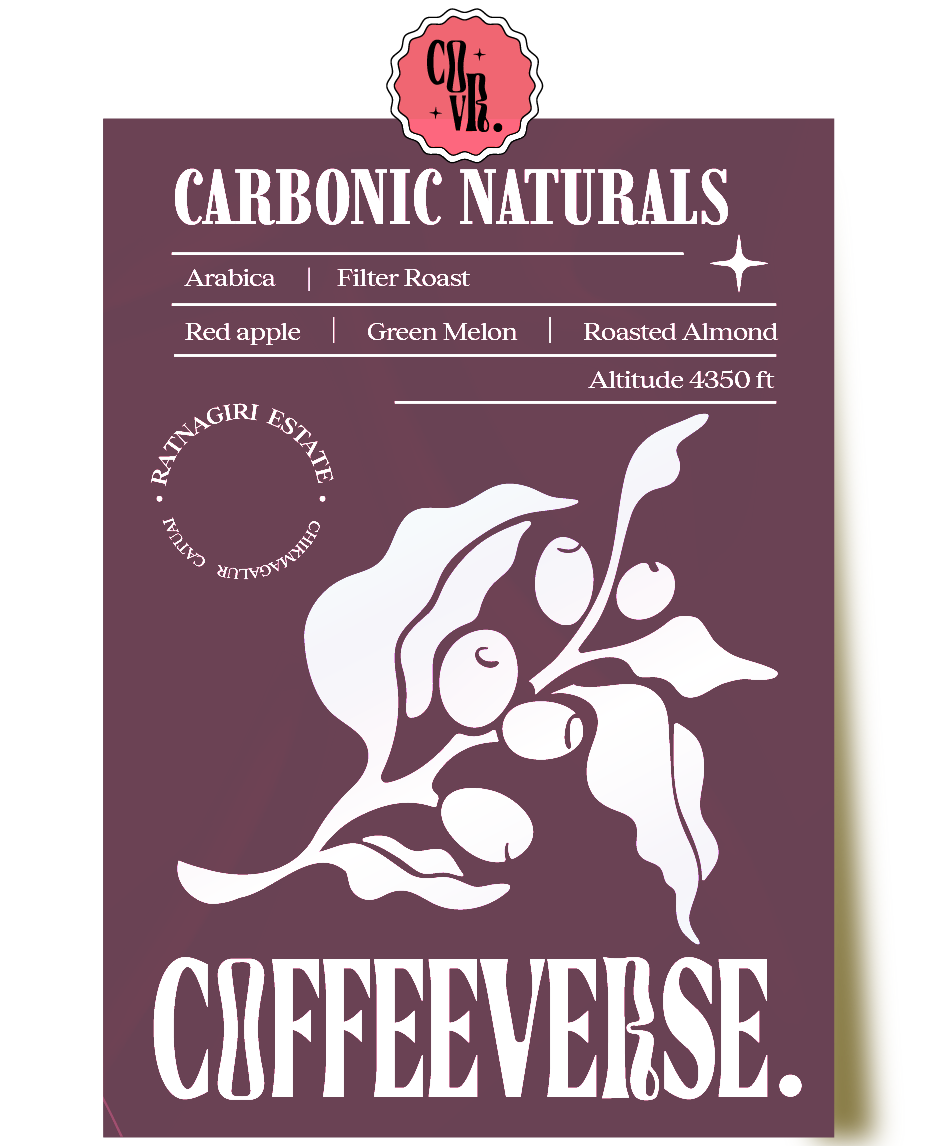 A pack of Carbonic Naturals Filter Roast coffee from Ratnagiri Estate with flavor notes of red apple, green melon, and roasted almond, altitude 6350 ft.